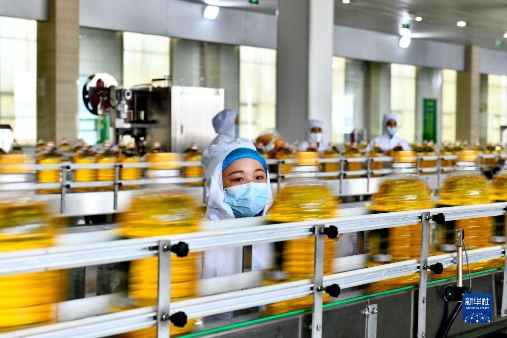 金山游戏官网